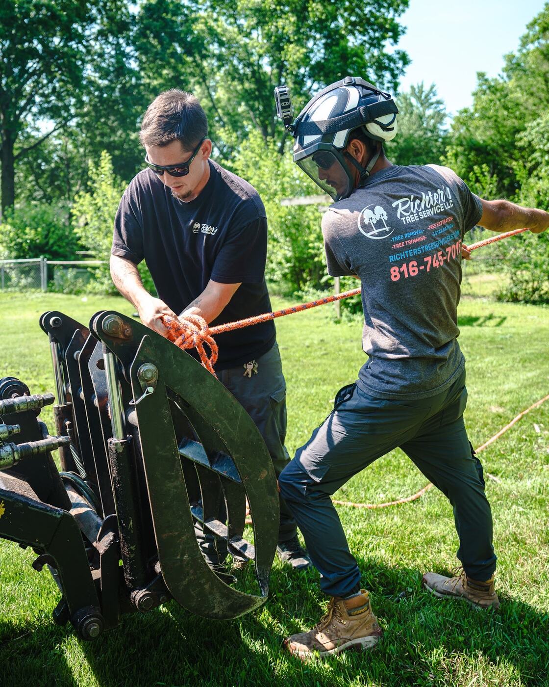 Emergency Tree Removal by Richter's Tree Service