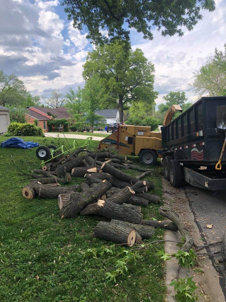 Tree Service LLC trusted arborist in Kansas City MO tree stump removal and tree trimming pruning 33