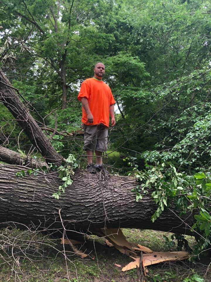 Tree Service LLC trusted arborist in Kansas City MO tree stump removal and tree trimming pruning 43